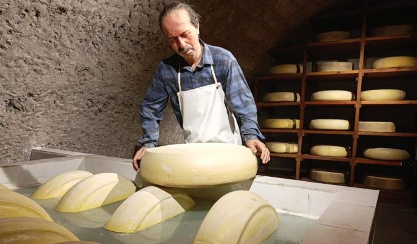 Kars Peynir Müzesi yoğun ilgi görüyor