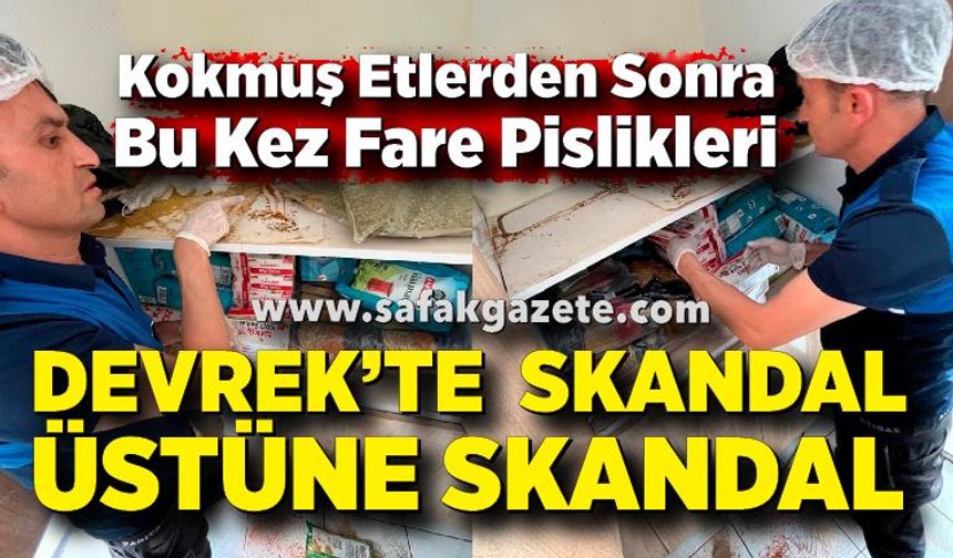 Kokmuş Etlerden Sonra Bu Kez Fare Pislikleri: Devrek’te Hijyen Krizi Büyüyor