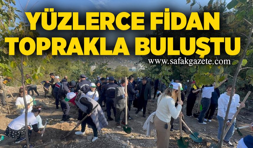 Alaplı’da yüzlerce fidan toprakla buluştu