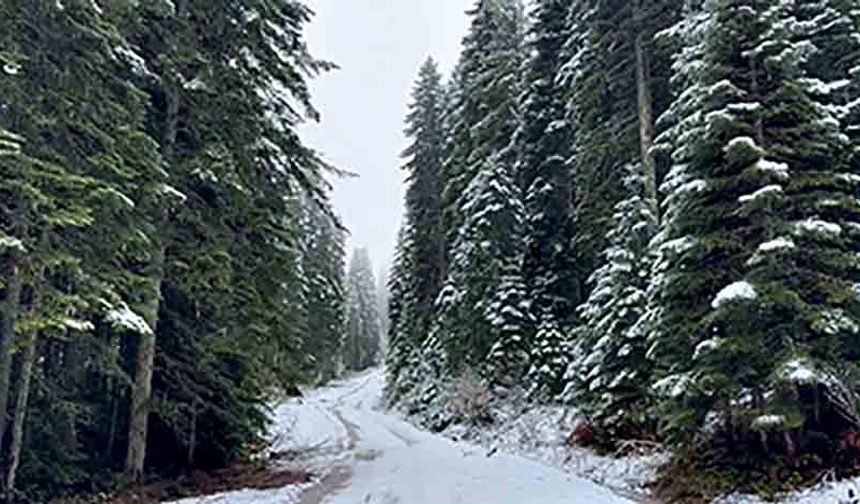 Yüksek kesimlerde kar sürprizi!