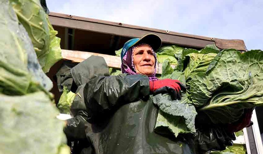 Emeğin adı kadın: Soğuk, çamur, yağmur dinlemeden üretime güç katıyorlar