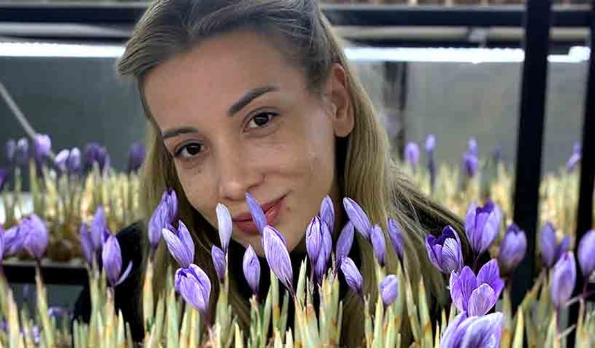 Genç yaşta mesleğini bıraktı, 50 metrekare odada safran üretmeye başladı