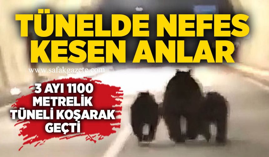 Tünelde nefes kesen anlar: 3 ayı 1100 metrelik tüneli koşarak geçti