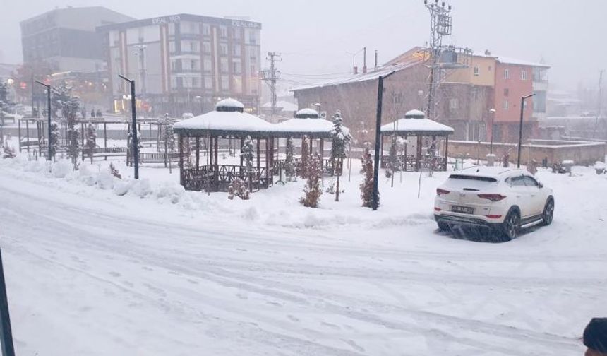 Başkale'de kar yağışı etkili oldu