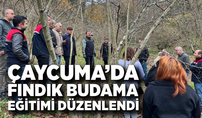 Çaycuma’da fındık budama eğitimi düzenlendi