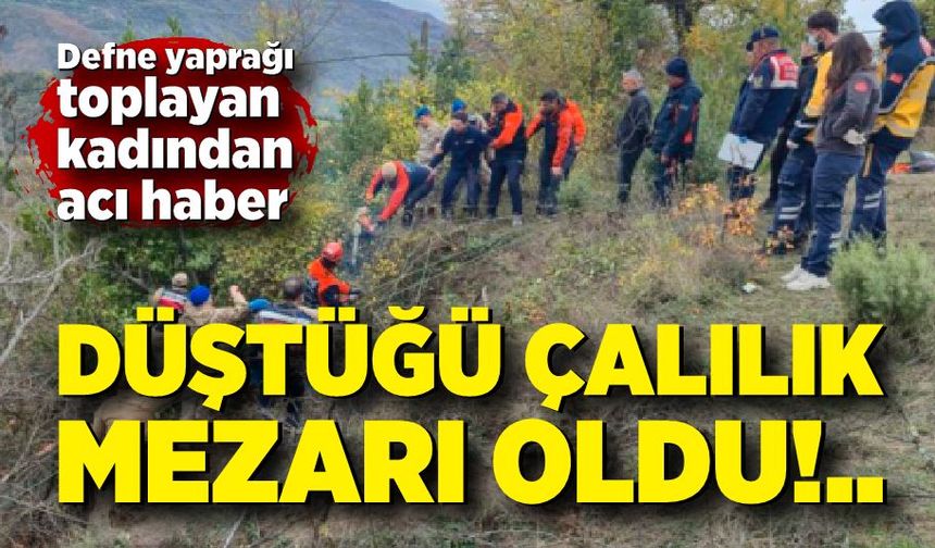 Düştüğü çalılık mezarı oldu