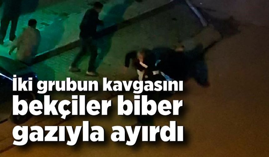 İki grubun kavgasını bekçiler biber gazıyla ayırdı