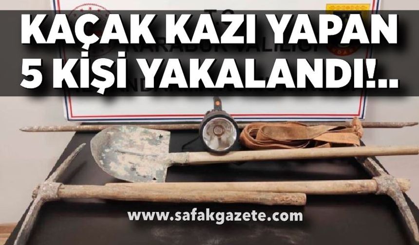 Kaçak kazı yapan 5 kişi yakalandı