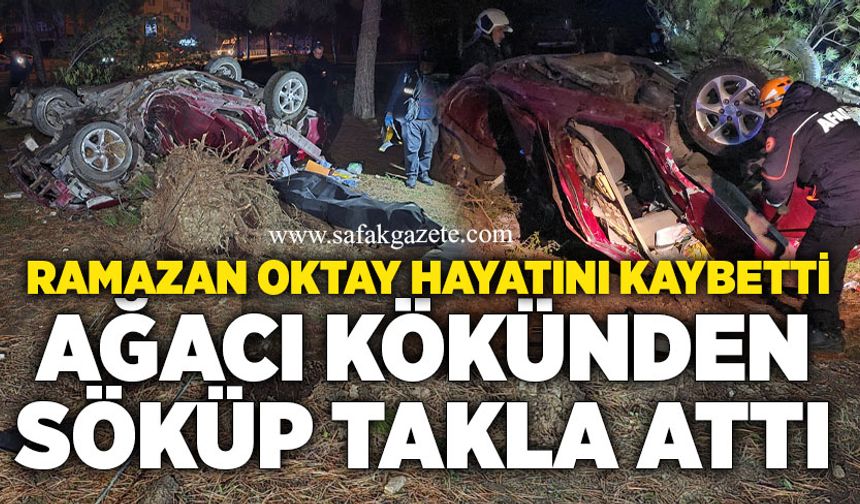 Karabük’te feci kaza: Otomobil ağaca çarpıp takla attı, sürücü öldü