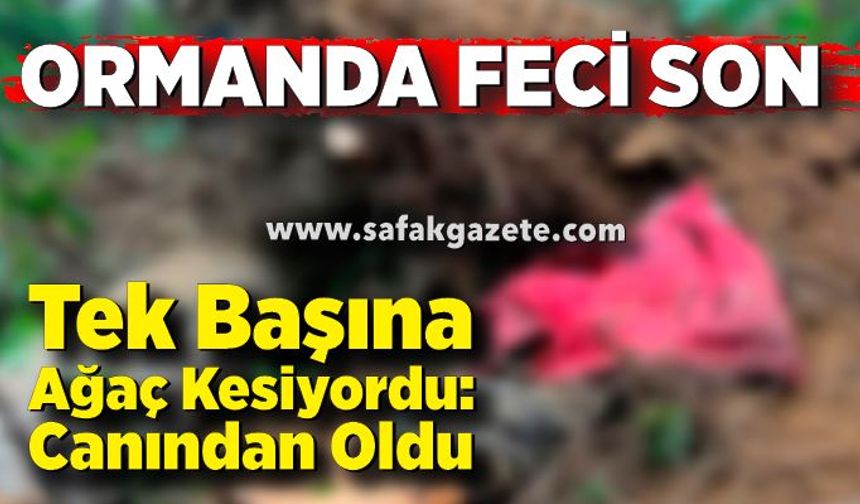Ormanda feci son! Kestiği ağacın altında hayatını kaybetti