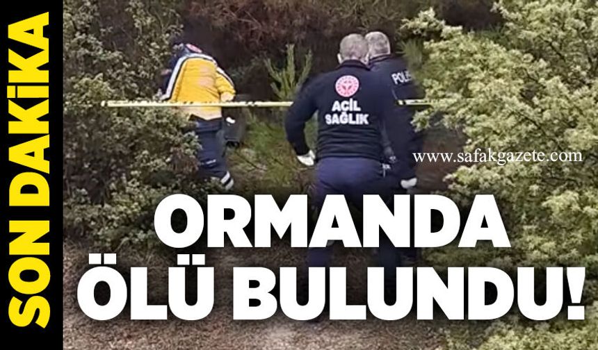 Ormanda ölü bulundu! Ekipler olay yerinde
