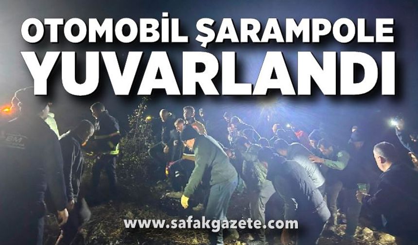 Otomobil şarampole yuvarlandı: 1 yaralı