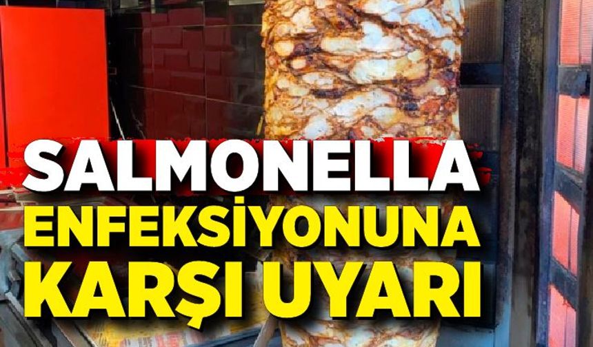 Salmonella enfeksiyonuna karşı altın kuralları uzmanı açıkladı