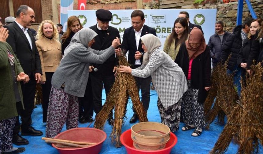Susam üreticisine büyük destek: Alım fiyatı 155 TL'ye yükseldi