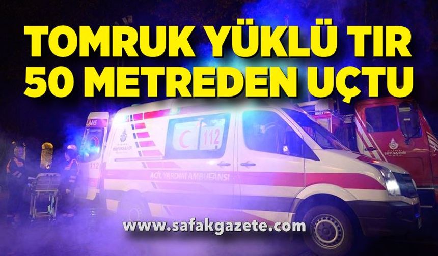 Tomruk yüklü tır 50 metreden uçtu: 1 yaralı