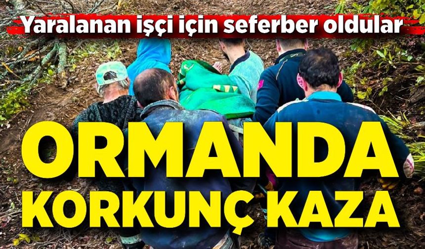 Ağaç keserken yaralanan işçi için seferber oldular