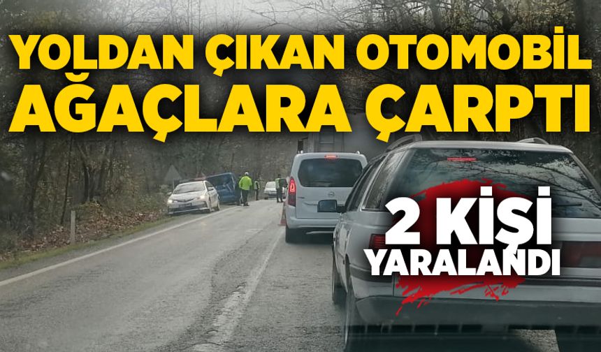 Yoldan çıkan otomobil ağaçlara çarptı: 2 yaralı