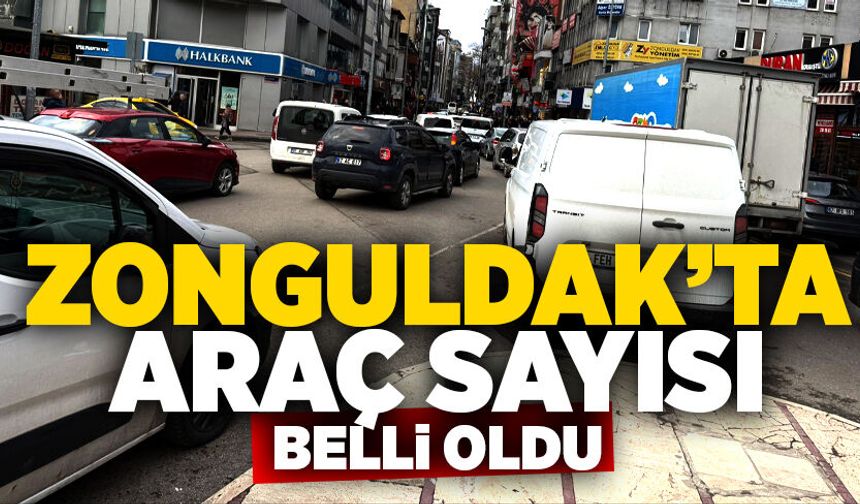 Zonguldak'ta araç sayısı belli oldu