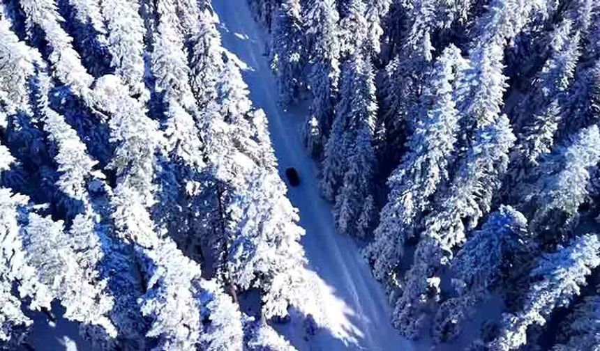 Aladağlar'da kış güzelliği: Çam ormanları kartpostallık manzaralara büründü