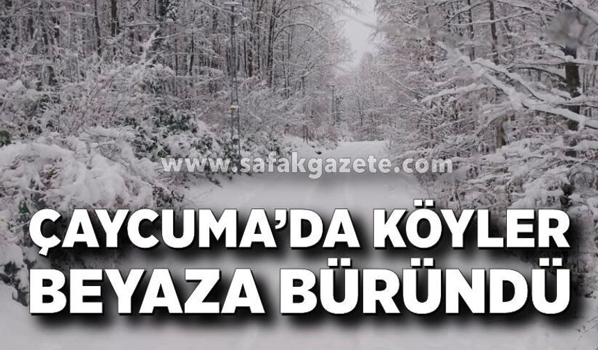 Çaycuma'da köyler beyaza büründü
