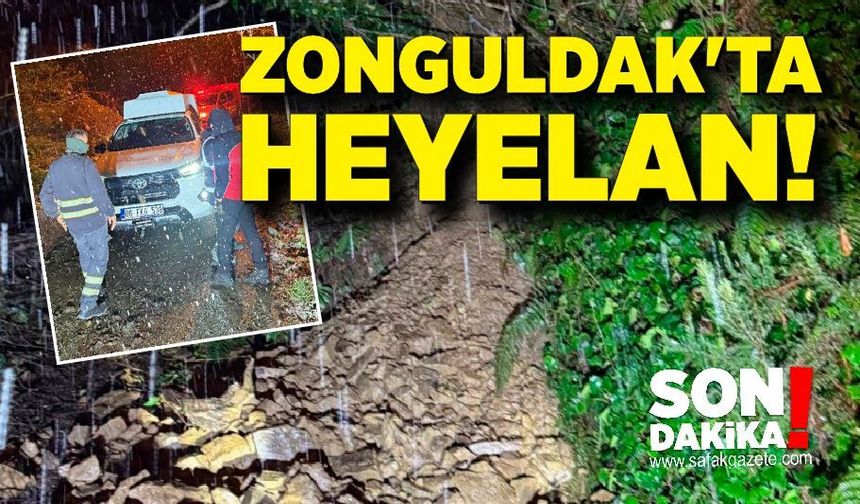 Zonguldak'ta heyelan! Ekipler bölgede inceleme ve kontrol çalışmalarına başladı