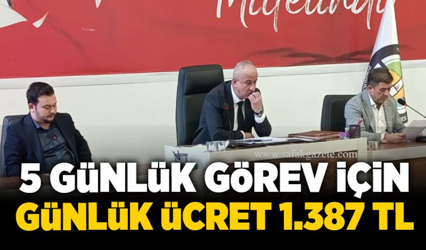 5 günlük görev için günlük ücret 1.387 TL