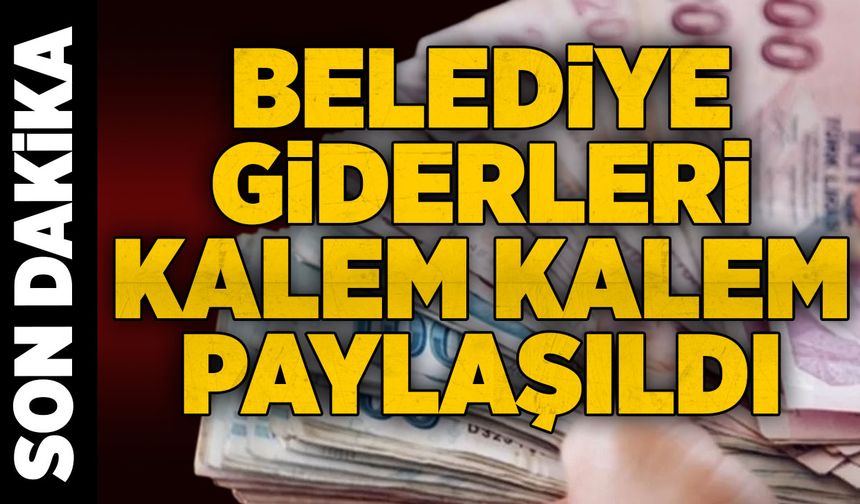 Devrek Belediyesi giderleri kalem kalem paylaştı