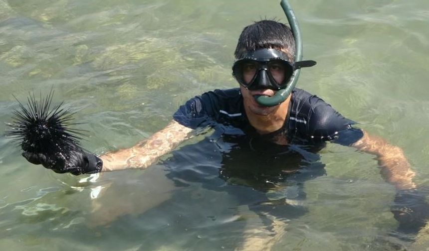 Marmara’da Denizkestanesi Avına Bilimsel Tepki