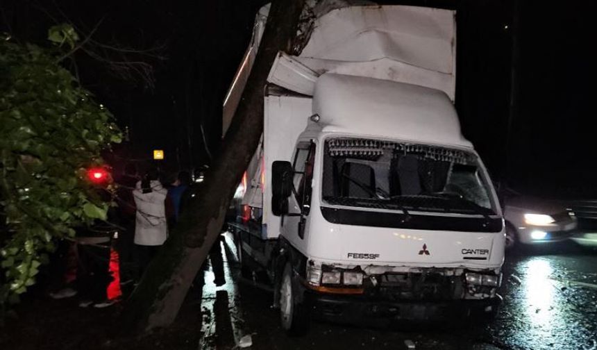 Sarıyer’de Kamyonet Yol Kenarındaki Ağaca Çarptı