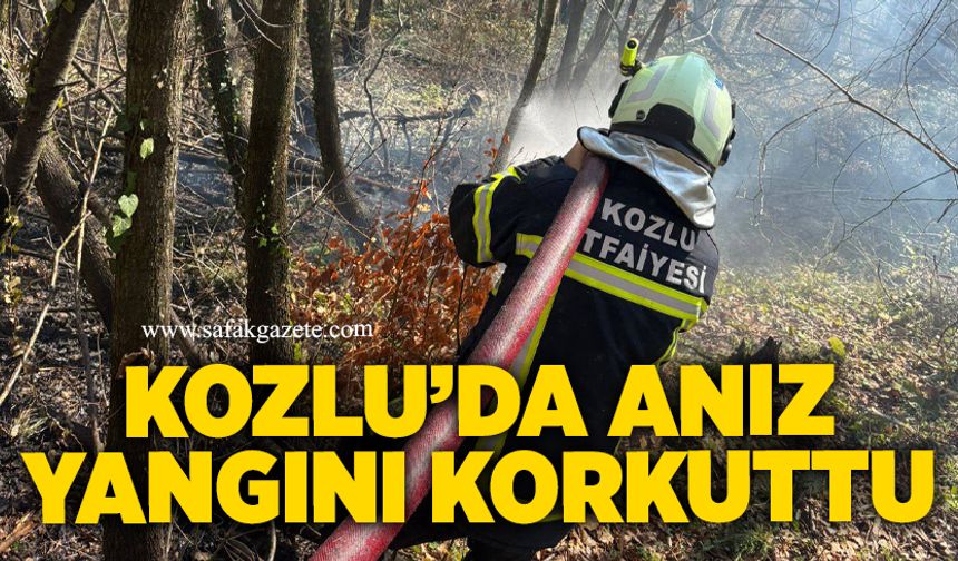 Kozlu’da anız yangını korkuttu