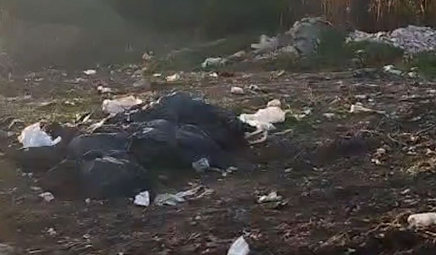 Muhtar Ormanlık Alandaki Çöpleri Temizledi