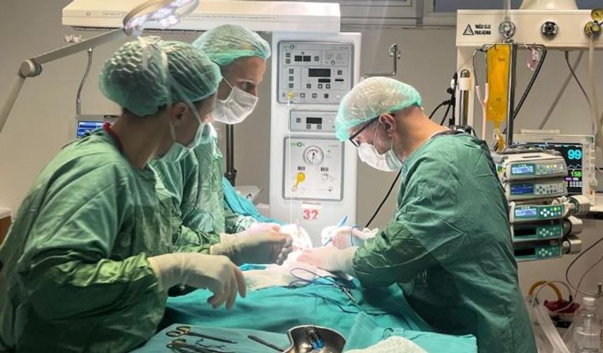 Prematüre Bebeğe Hayat Kurtaran Kalp Müdahalesi