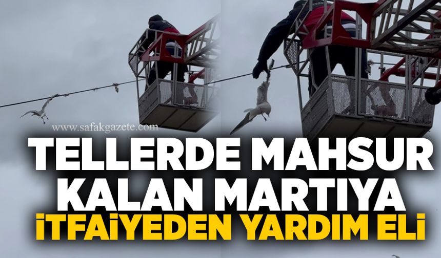 Tellerde mahsur kalan martıya itfaiyeden yardım eli
