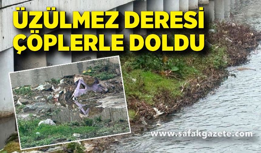 Zonguldak’ta dere kirliliği tepki çekti!