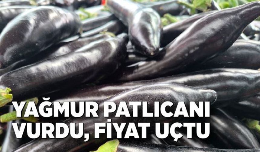 Antalya yağmuru patlıcanı vurdu, fiyat uçtu