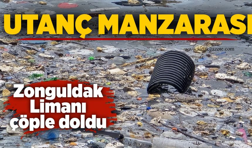 Zonguldak Limanında aynı manzara: Çöpler doldu