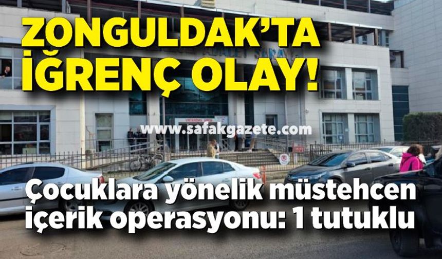 Zonguldak'ta çocuk müstehcenliği operasyonunda 1 tutuklama