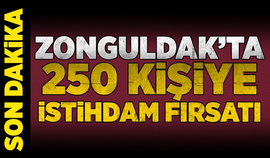 Zonguldak’ta 250 kişiye istihdam fırsatı