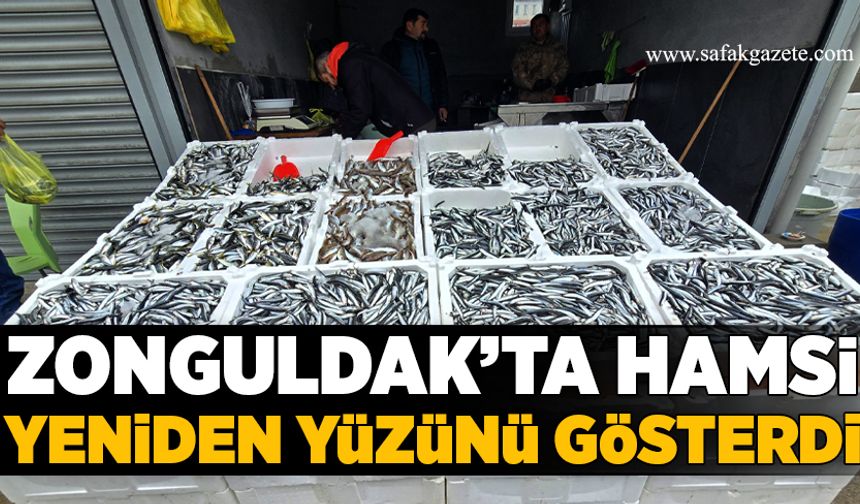 Zonguldak’ta hamsi yeniden yüzünü gösterdi