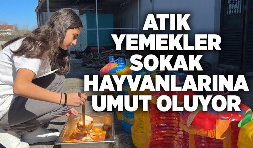 Atık yemekler sokak hayvanlarına umut oluyor