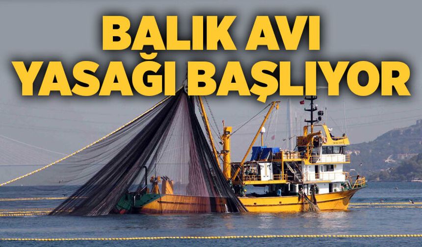 Balık avı yasağı başlıyor