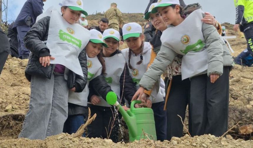 Bartın’da kül olan orman yeniden doğuyor: 400 fidan dikildi