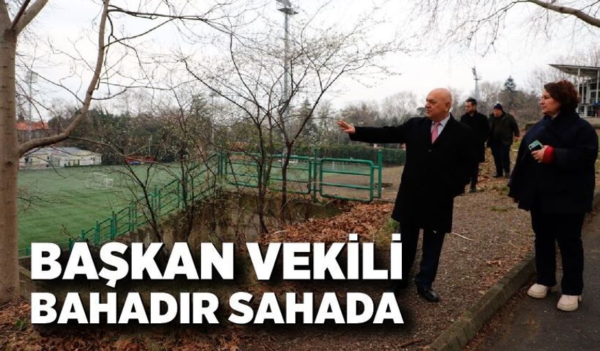 Başkan Vekili Adil Bahadır sahada incelemelerde bulundu