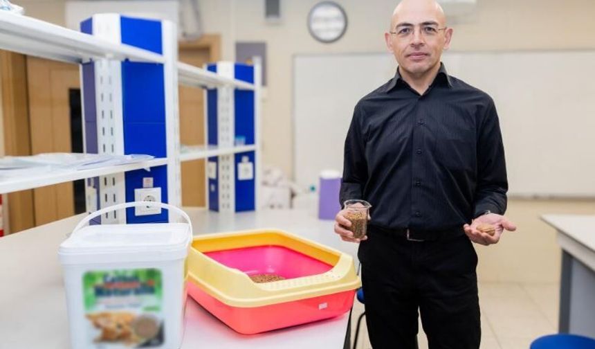 Ceviz kabuğundan kedi kumu üretti