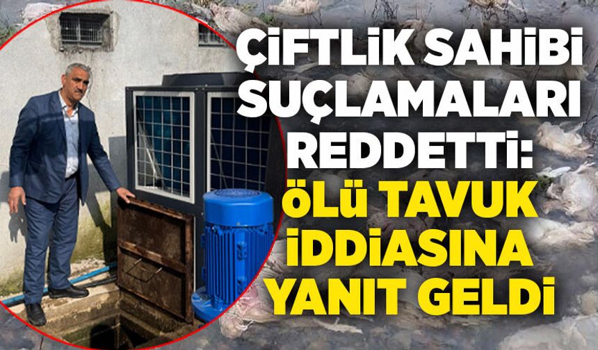 Çiftlik sahibi suçlamaları reddetti: Ölü tavuk iddiasına yanıt geldi