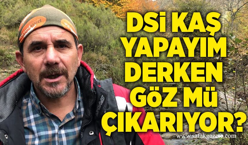 DSİ kaş yapayım derken göz mü çıkarıyor?