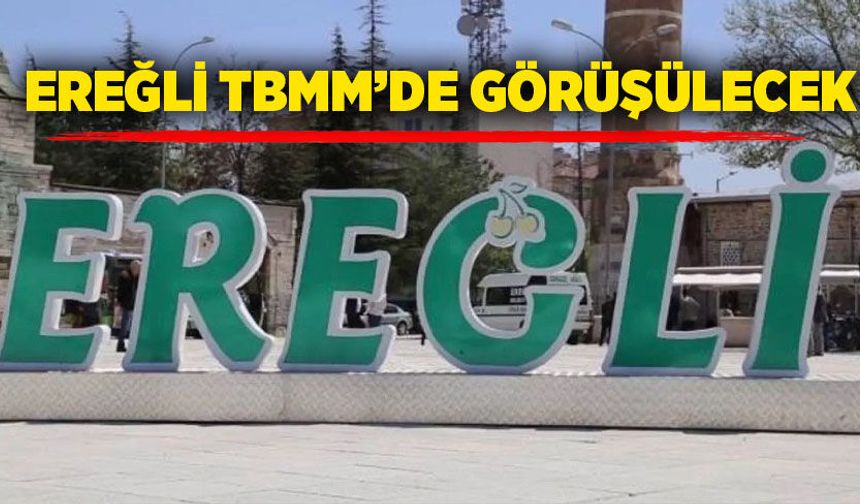 Ereğli TBMM’de görüşülecek
