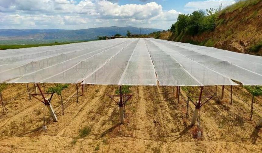 Dolu korkusuna fileli önlem