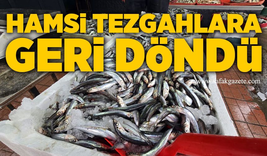 Hamsi tezgahlara geri döndü: Kilosu 150 TL
