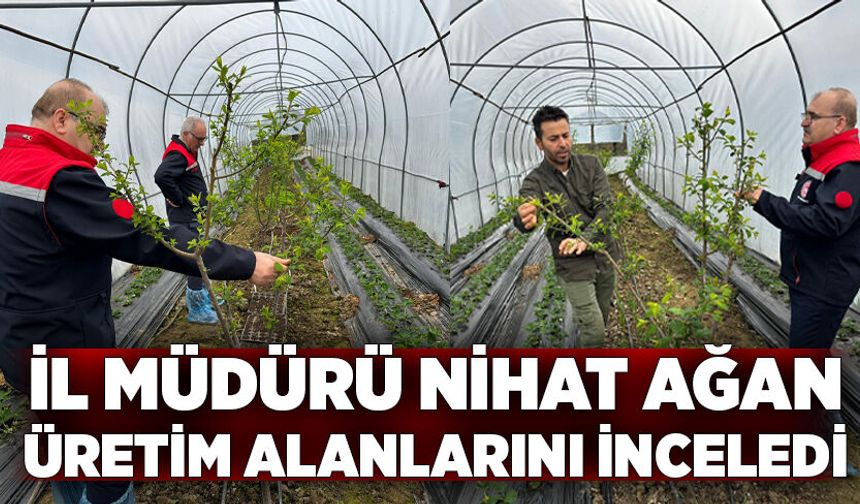 İl Müdürü Nihat Ağan Üretim Alanlarını İnceledi